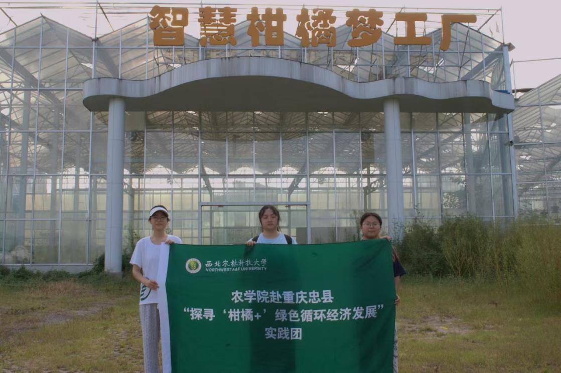 rֿƼW:{С+aI ldlչ&#8203;